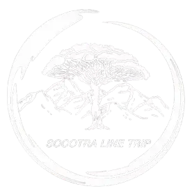 Socotra General Tours